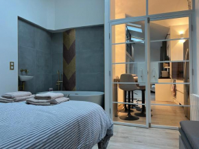 Loft plein sud